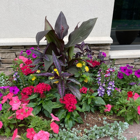 Meet your Posher, Dawn - Picture 1 of 1